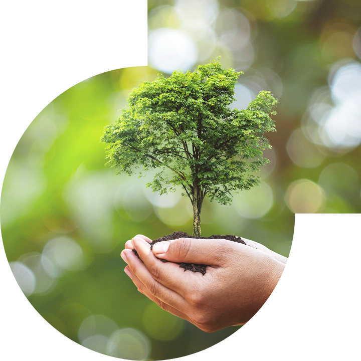 關懷人類、文化、環境與社會